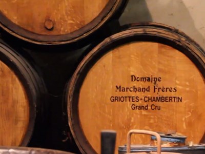 Domaine Marchand Frères 3