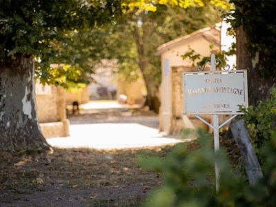 Chateau Bastor-Lamontagne 1