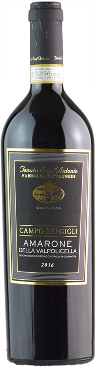 Front Tenuta Sant'Antonio Amarone della Valpolicella Campo dei Gigli 2016