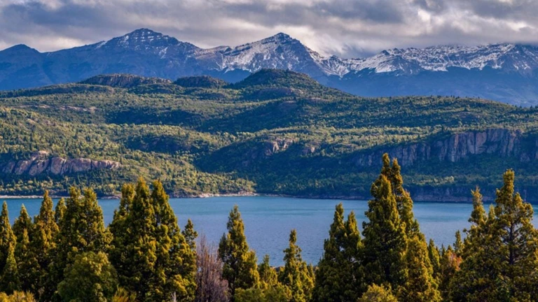 Patagonian Wines: Hidden Gems and Enigmatic Curiosities