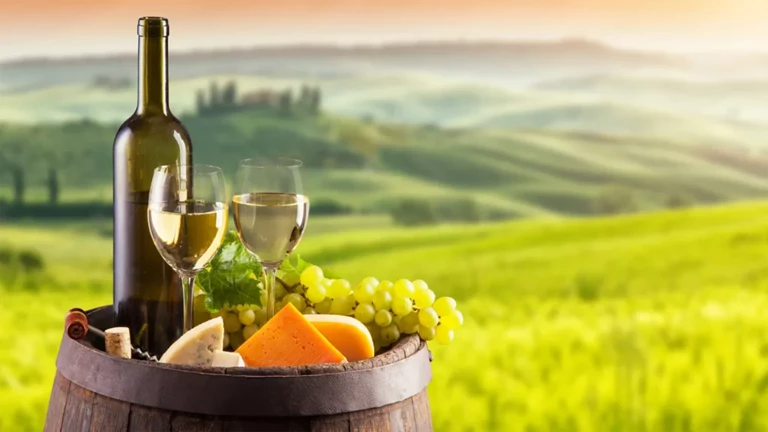 The best white wines on xtraWine