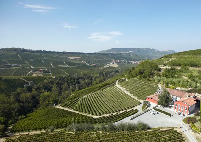 Zoccolaio: winery in Barolo