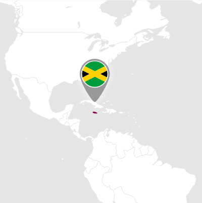 Vendita rum giamaica