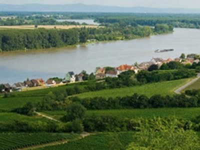 Rheinhessen 1
