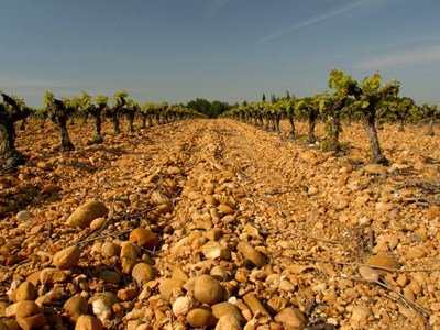 Languedoc-Roussillon 2