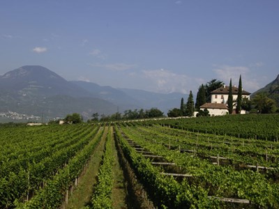 Trentino Südtirol 2