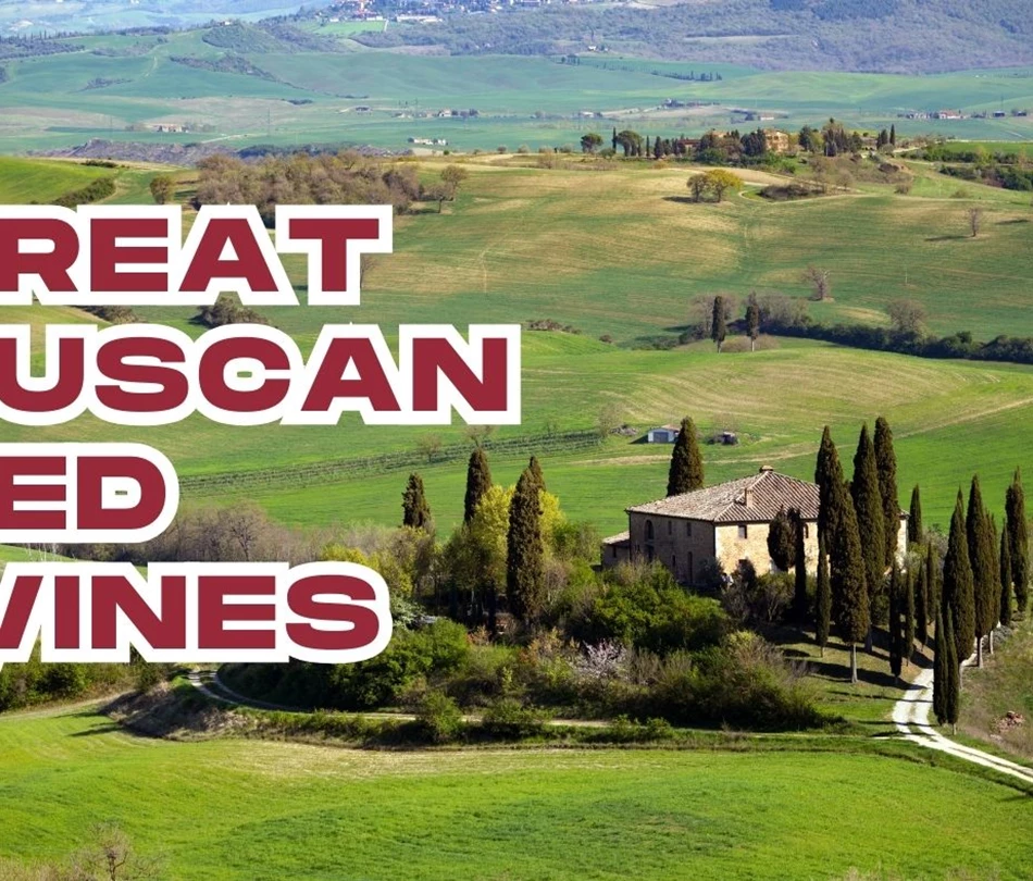 Great Tuscan red wines