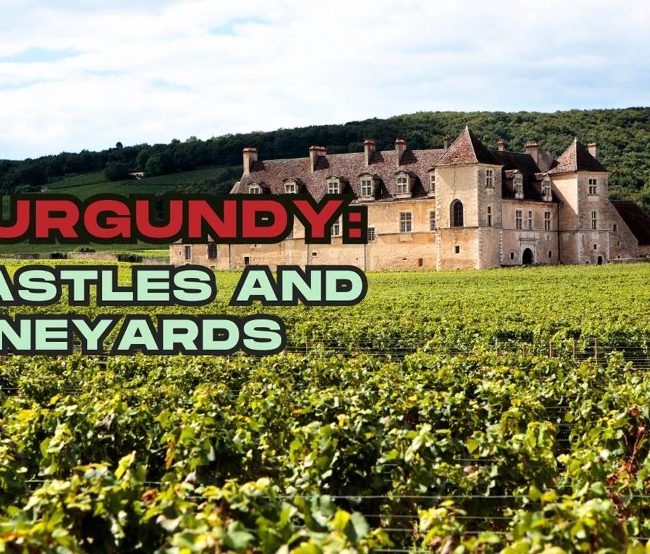  Discover Burgundy 