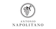 Antonio napolitano azienda agricola wines