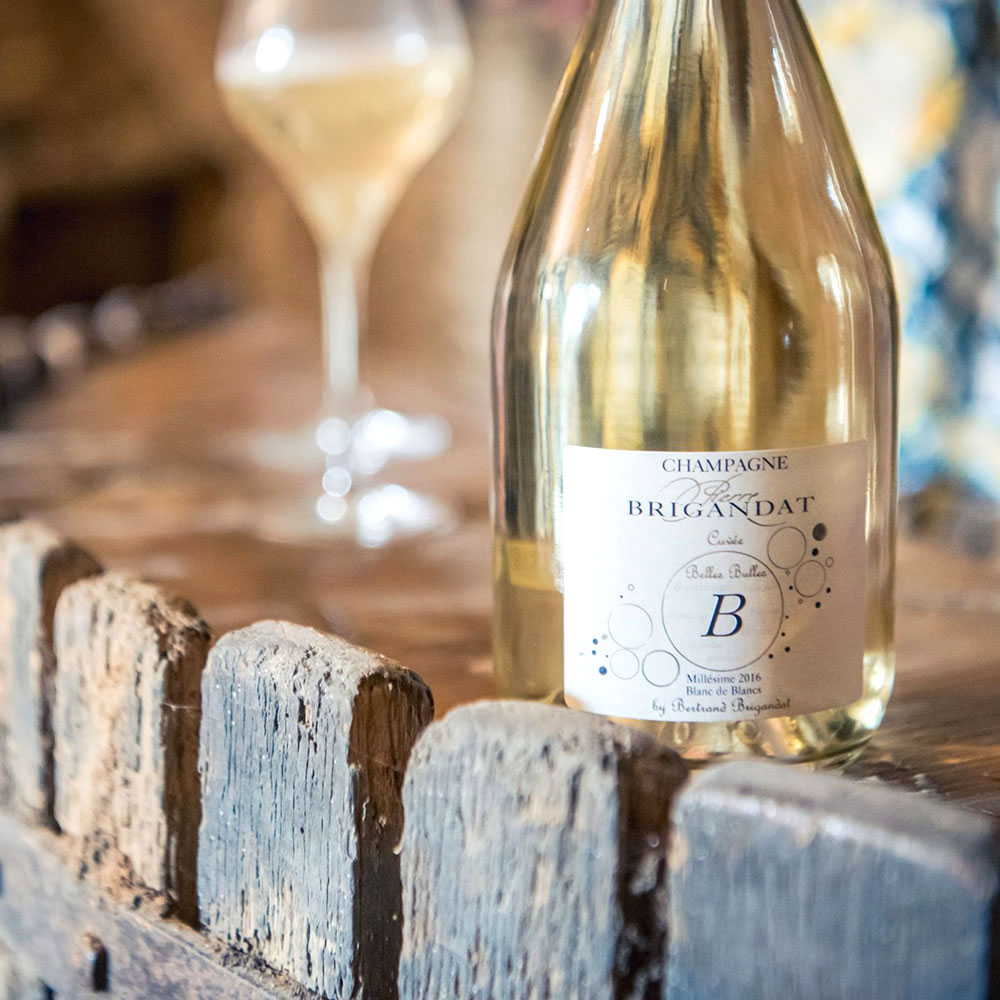 Brigandat champagne blanc de noirs brut xtrawine