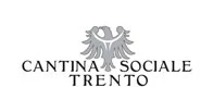 cantina sociale trento wines for sale
