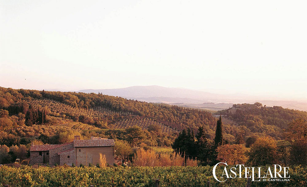 Castellare di castellina i sodi di san niccolò 2019 xtrawine IT