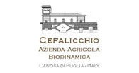 Cefalicchio azienda agricola wines