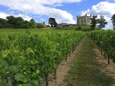 Chateau Au Vignoble 1