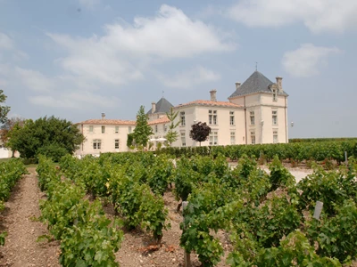 Chateau de Pez & Chateau Haut-Beausejour 1