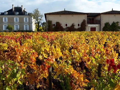 Chateau Haut-Bailly 1