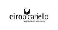 Ciro picariello wines
