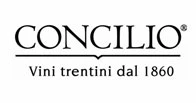 concilio wines for sale