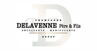 delavenne père & fils wines for sale