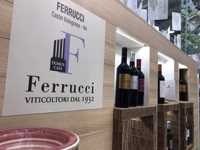 Ferrucci 1