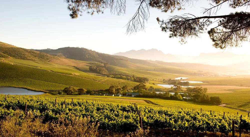 Jordan Wine Estate Stellenbosch