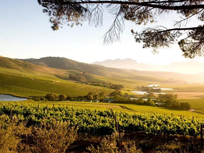 Jordan Wine Estate Stellenbosch 1
