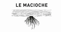 Le macioche 葡萄酒