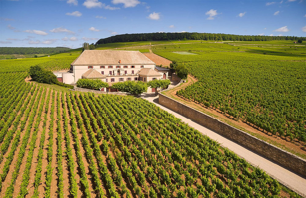 Louis latour montrachet grand cru 2019 - xtrawine.com Louis latour montrachet grand cru 2019 - xtrawine.com
