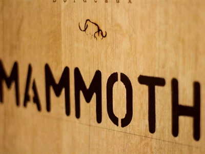 Mammoth Wines 1