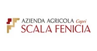 Scala fenicia wines