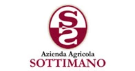 sottimano 葡萄酒 for sale