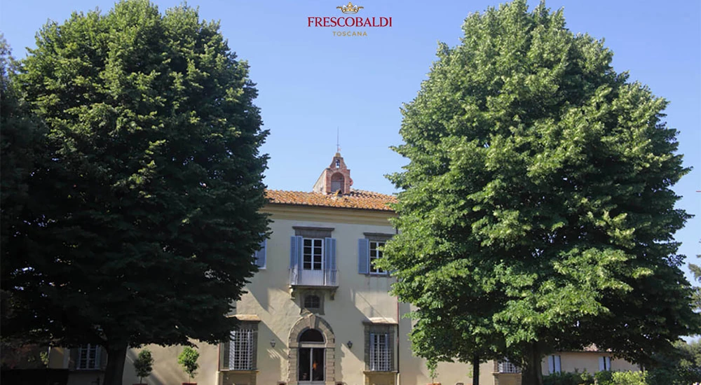 Tenuta di Castiglioni - Frescobaldi