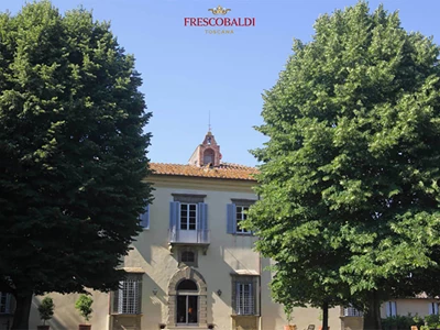 Tenuta di Castiglioni - Frescobaldi 1