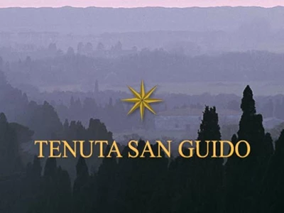 Tenuta San Guido 1