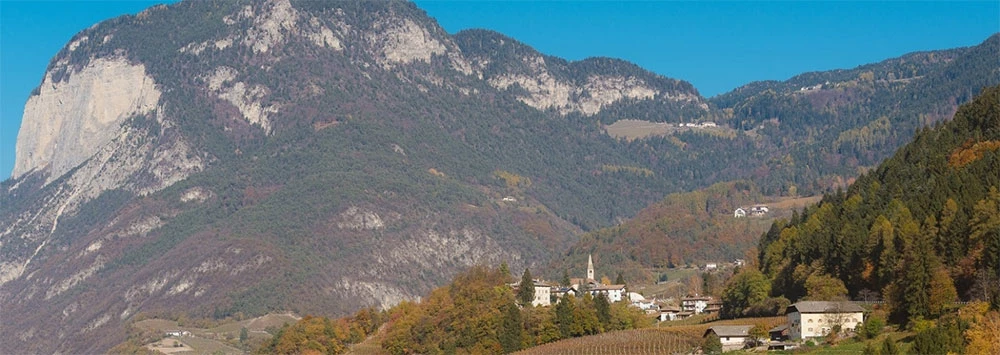 Weingut Steinhaus