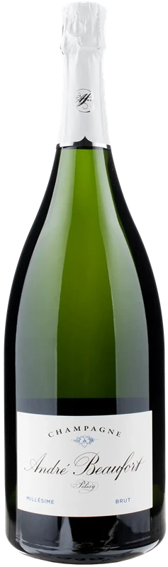 Front Andre Beaufort Champagne Polisy Millesime Magnum 2018