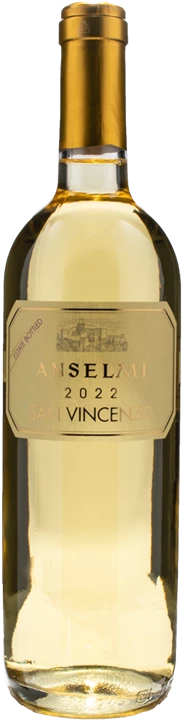 Front Anselmi San Vincenzo 2022