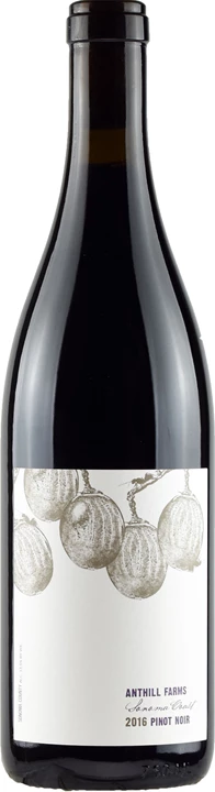 Vorderseite Anthill Farms Winery Pinot Noir Sonoma Coast 2016