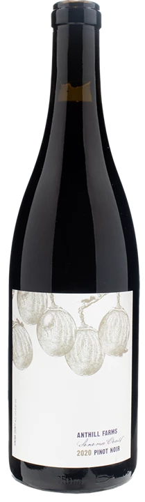 Front Anthill Farms Winery Pinot Noir Sonoma Coast 2020