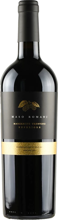 Front Cavit Maso Romani Marzemino Trentino Superiore 2016