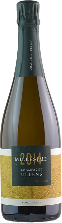 Front Domaine de Marzilly Champagne Ullens Blanc de Blancs Chardonnay Millesime 2014