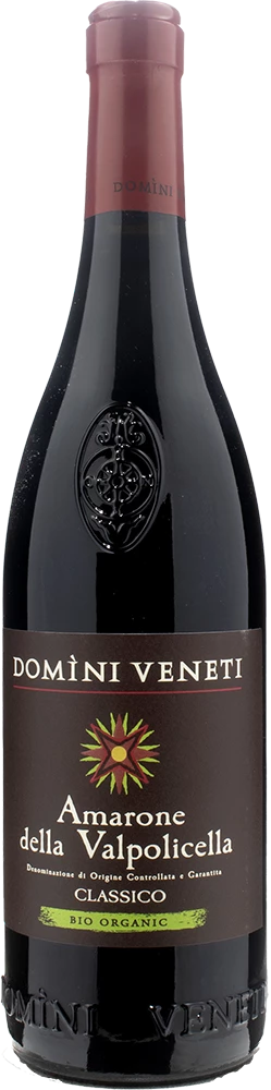 Amarone della Valpolicella Classico Collezione Pruviniano DOCG, Veneto  (Italia), DOMINI VENETI 