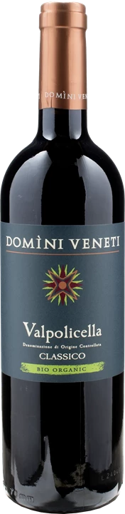 Front Domini Veneti Valpolicella Classico 2023