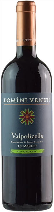 Front Domini Veneti Valpolicella Classico Bio 2021