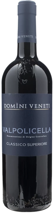 Front Domini Veneti Valpolicella Classico Superiore 2021