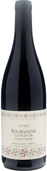 Vorderseite Marchand Tawse Bourgogne Cote d'Or Pinot Noir 2020