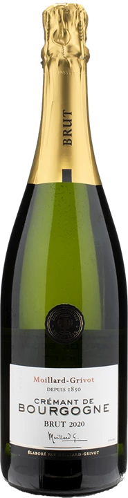 Adelante Moillard Grivot Crémant de Bourgogne Blanc Brut Millésimé 2020