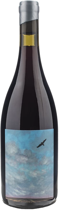 Adelante Proud Primary Produce The Eagle Pinot Noir 2021