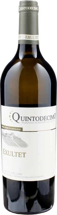 Front Quintodecimo Fiano di Avellino Exultet 2023