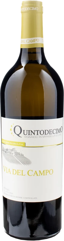 Fronte Quintodecimo Irpinia Falanghina Via del Campo Magnum 2023